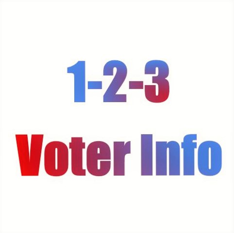 Voter Info.JPG